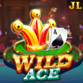 Wild Ace on d9d9 game